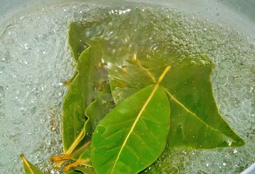Un decotto di foglie di alloro